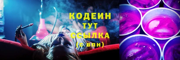 гашик Михайлов