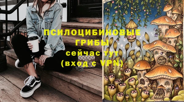гашик Михайлов
