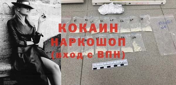 гашик Михайлов