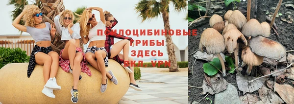 прущая мука Медвежьегорск