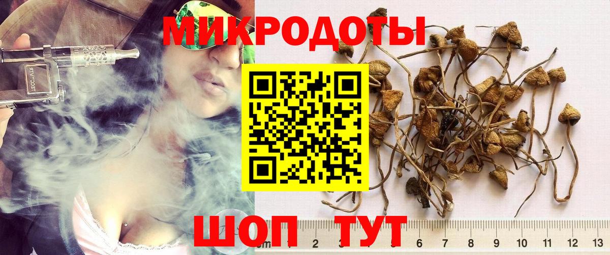Кизилюрт  продажа наркотиков  Вход с VPN  Галлюциногенные грибы Psilocybine cubensis  Галлюциногенные грибы MAGIC MUSHROOMS 