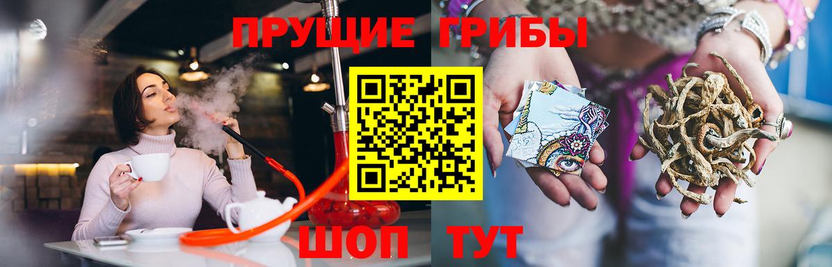Галлюциногенные грибы прущие грибы Кизилюрт